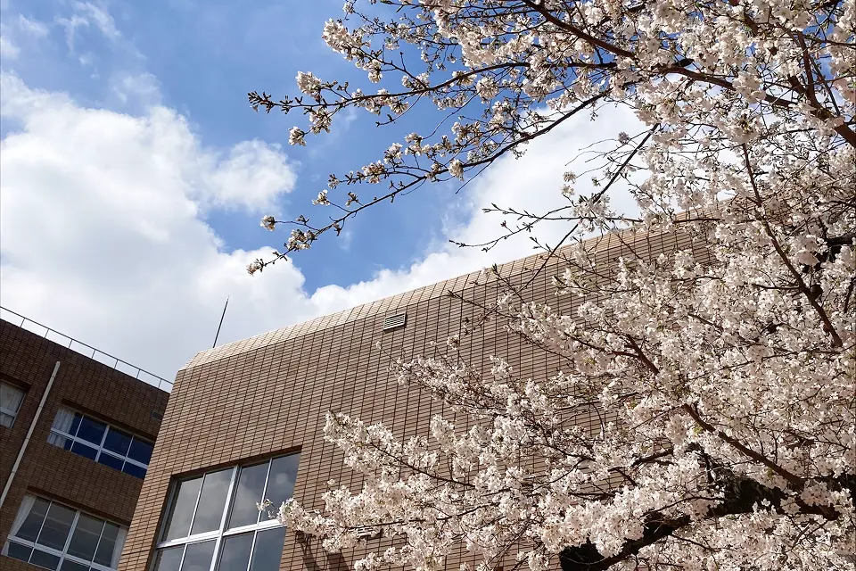 さくら会のイメージ画像