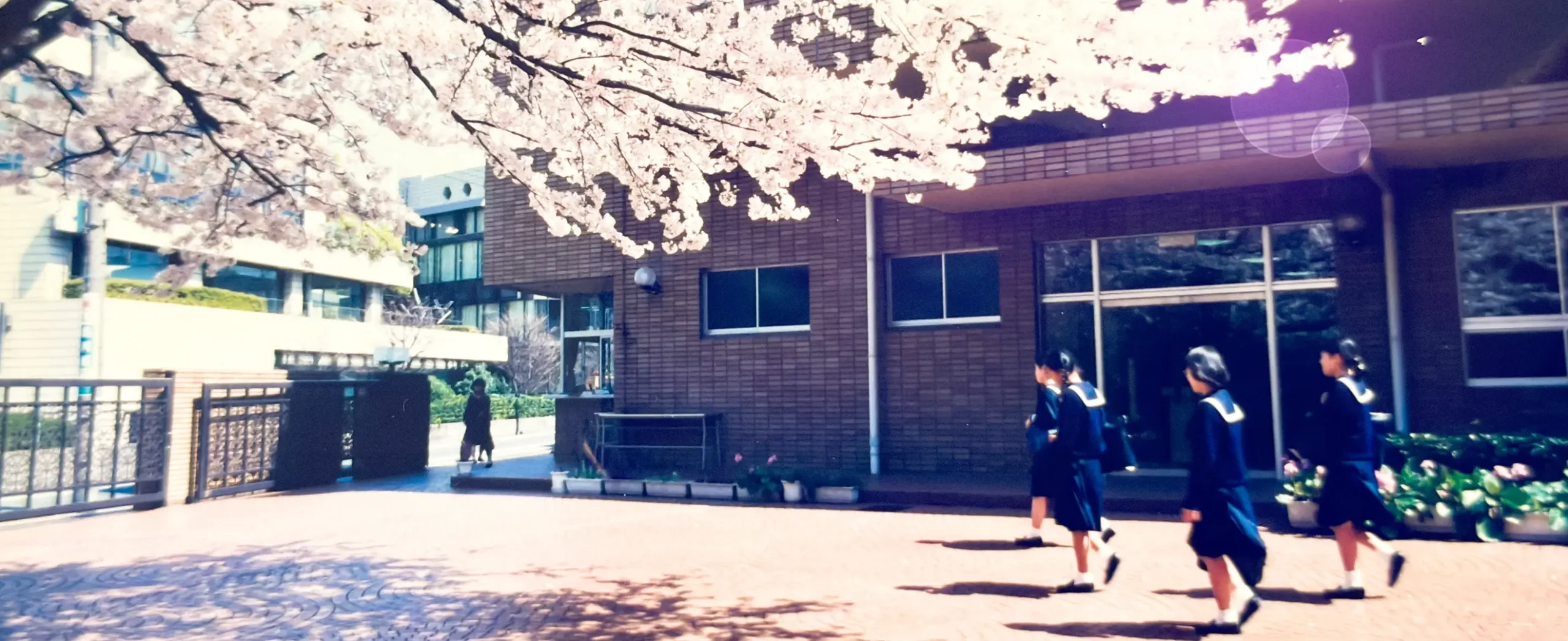 百年の歩みを 未来へつむぐ さくら会
